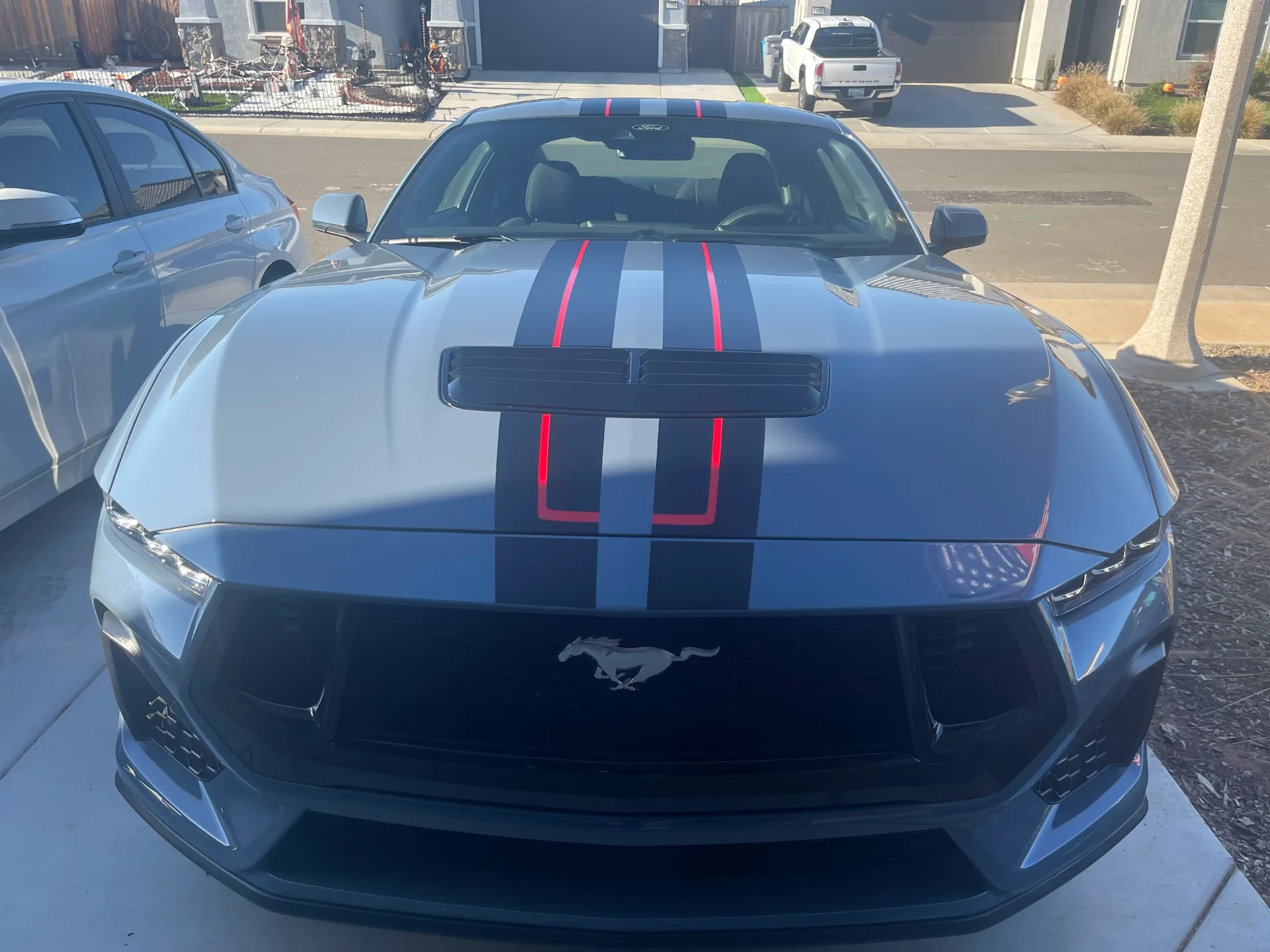 Aron Taylor Mustang front stripes