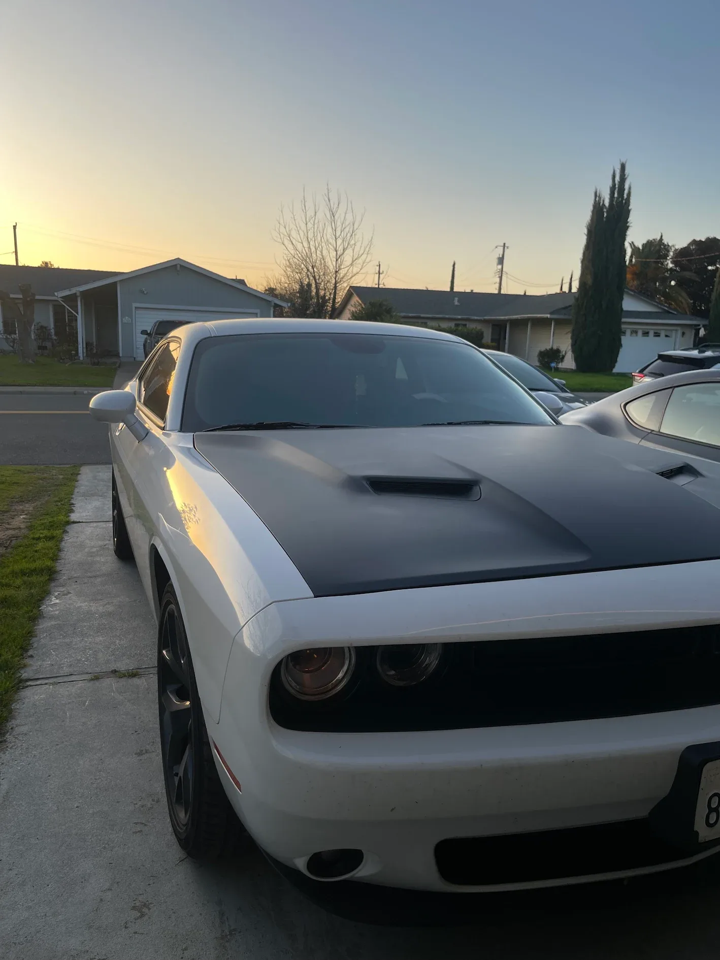 Ivy Huizar Challenger matte hood wrap
